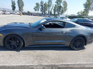 Ford Mustang foto 13