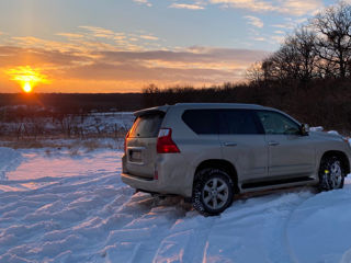 Lexus GX Series