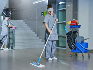 Professional cleaning services фото 0