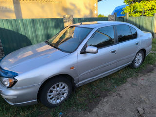 Nissan Primera foto 4