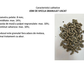 Jom de sfecla granulat uscat (жом гранулированный сухой) foto 2