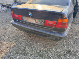 BMW 5 Series foto 4