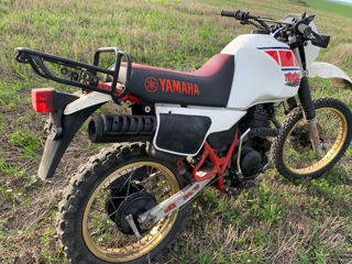 Yamaha Tenere Xt600z foto 4