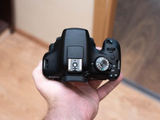 Canon 2000D Kit (1600 de cadre) foto 3