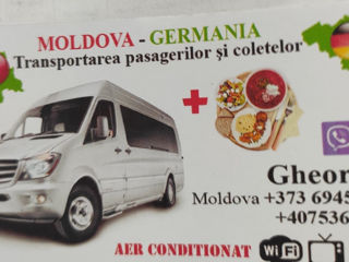 Transport Moldpva —-germania