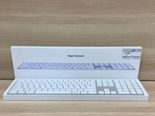 Magic    Keyboard   1190lei