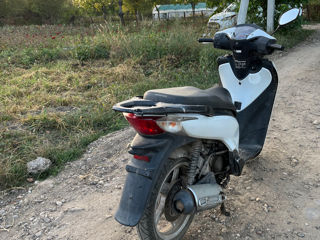 Honda Sh 150i 2010 foto 3