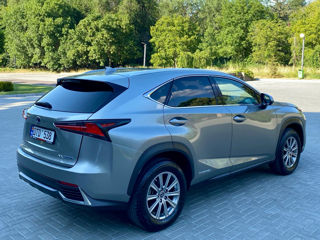 Lexus NX Series foto 3