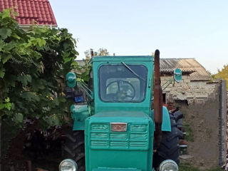 Tractor, Трактор T 40 foto 1