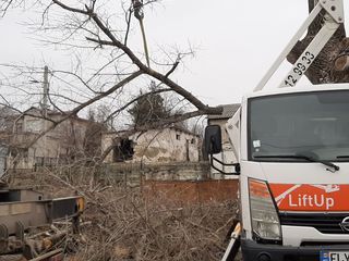 Спилить удалить аварийное, сухое, накренившиеся или треснувшие дерево. foto 13