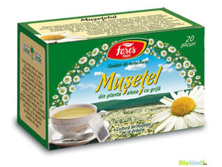 Ceai Matcha pulbere ecologica Чай Матча порошок foto 6