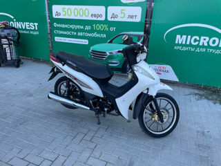 Motomax Bravoxs foto 4