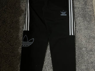 Sportivi Adidas Originali