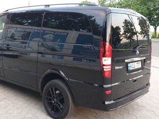 Mercedes Viano foto 6