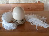 страусиные яйца пищевые foto 2
