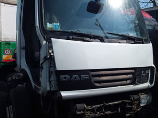 Daf foto 2