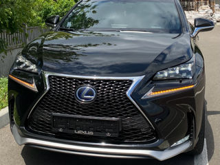 Lexus NX Series