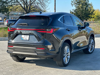 Lexus NX Series foto 7