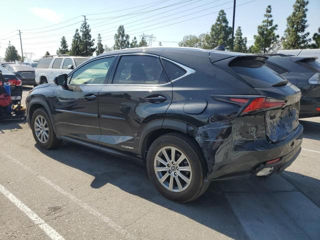 Lexus NX Series foto 2