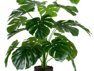 Planta artificiala Cilgin G333 Monstera 60cm foto 2