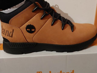 Timberland foto 4