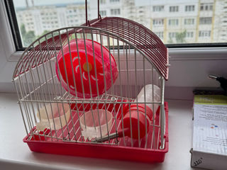 Căsuța pentru hamster mic foto 2