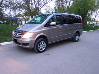 Mercedes Viano