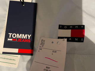 Tommy foto 2