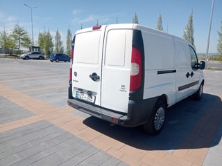 Fiat Doblo Cargo foto 5