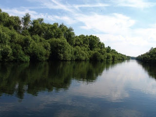 Vila la nistru (vadul lui voda) in i.p. "poiana noua" sat. pirita foto 1