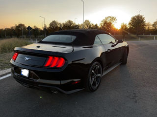 Ford Mustang foto 3