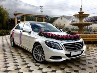 Mercedes-Benz S Class Long w222 foto 6