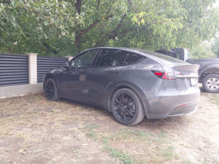 Tesla Model Y foto 5