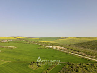 Teren agricol 19 ari, Tohatin! foto 1