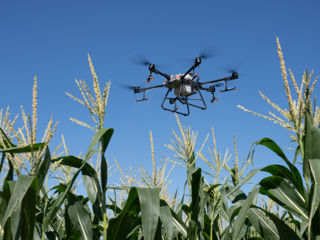 Stropire culturi cu Drone Agricole foto 5