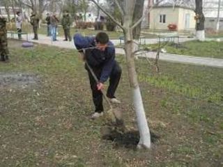 Sapam facem curatenie foto 2