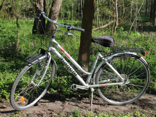 Продам прогулочный городской велосипед Bianchi Spillo Rubino foto 1