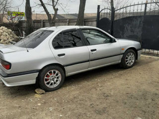 Nissan Primera foto 3