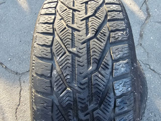 Kormoran Snow 225/50 R17 foto 2