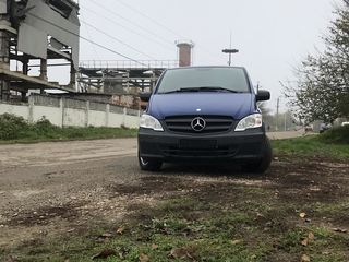 Mercedes Viano foto 8