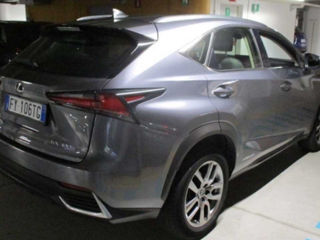 Lexus NX Series foto 4