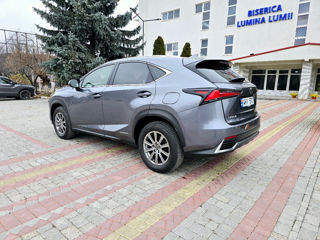 Lexus NX Series foto 5