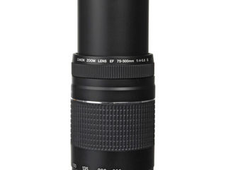 Canon EF 75-300mm f/4-5.6 III