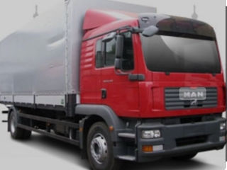 Daf foto 12