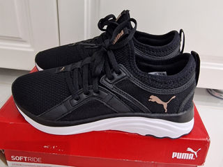 Puma pe loc 37