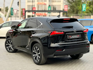 Lexus NX Series foto 5