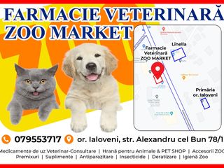 Farmacie și Cabinet  Veterinar or. Ialoveni Ветеринарная Аптека foto 1