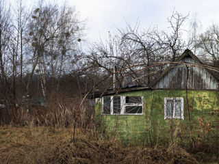 Cumpar teren. Куплю участок