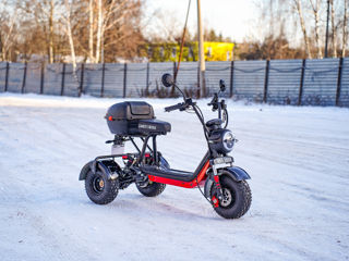 Электроскутер White Siberia Trike Mini 1500w red/black foto 2