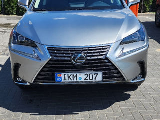 Lexus NX Series